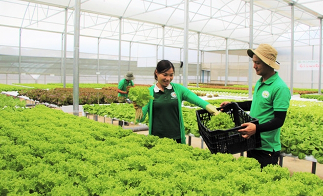 Rất ít DN trong nước tham gia vào các chương trình PPP của ngành nông nghiệp