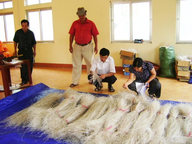 Sản phẩm miến dong của HTX Sơn Đông