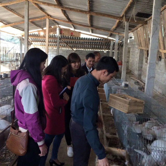 Mô hình nuôi thỏ thương phẩm của anh Nguyễn Văn Quảng, giám đốc HTX thanh niên Tân Linh