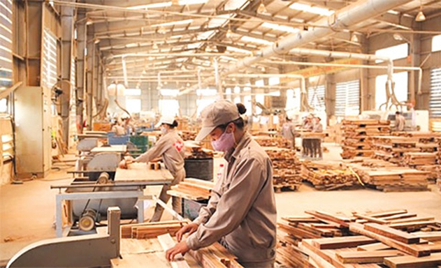 Vấn đề cam kết SHTT được nhiều đại biểu quan tâm