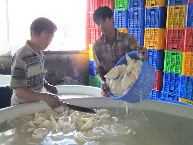 Các thành viên HTX nông nghiệp Định Thủy đang sơ chế dừa