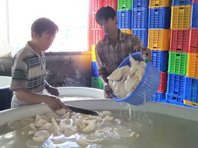 Các thành viên HTX nông nghiệp Định Thủy đang sơ chế dừa