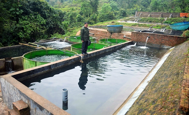 Mô hình nuôi cá tầm ở bản Khe Tiền, xã Đồng Văn của HTX Phát triển nông nghiệp và thuỷ sản Đông Bắc là một trong những giải pháp giảm nghèo của huyện Bình Liêu.