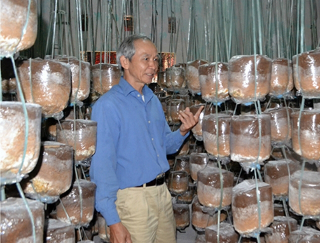 Ông Huỳnh Văn Mười - Giám đốc HTX Kim Thanh