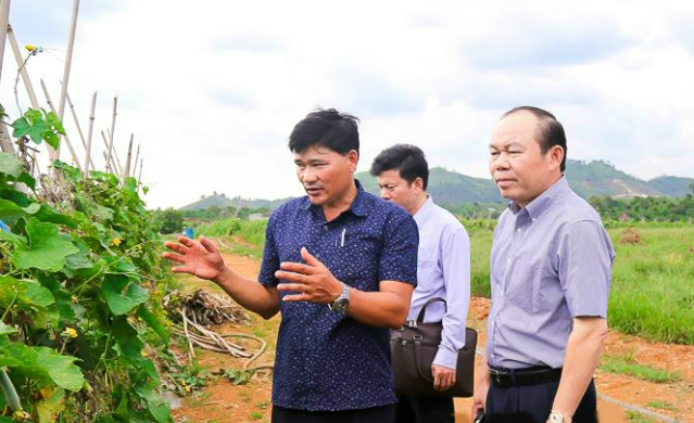 Chủ tịch Nguyễn Ngọc Bảo và đoàn công tác đã khảo sát 3 HTX Nông nghiệp tại Đắk Nông.