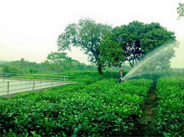 Thành viên HTX được hướng dẫn vận hành các loại máy móc, trang thiết bị để đảm bảo an toàn khi sử dụng