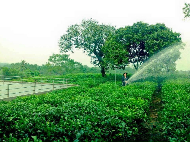 Thành viên HTX được hướng dẫn vận hành các loại máy móc, trang thiết bị để đảm bảo an toàn khi sử dụng