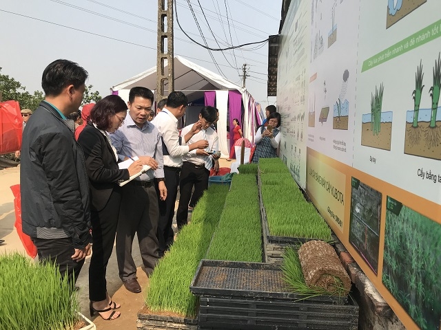 Từ đầu năm đến nay,