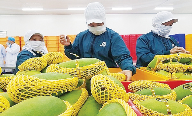 Nông sản Việt cần giảm chi phí để tăng khả năng cạnh tranh xuất khẩu