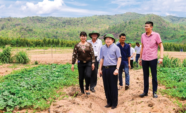 Chủ tịch Nguyễn Ngọc Bảo thăm khu canh tác của HTX An Nhiên