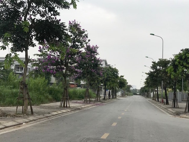 Mặc dù là 10h sáng nhưng con đường trong khu đô thị vắng vẻ không một bóng người