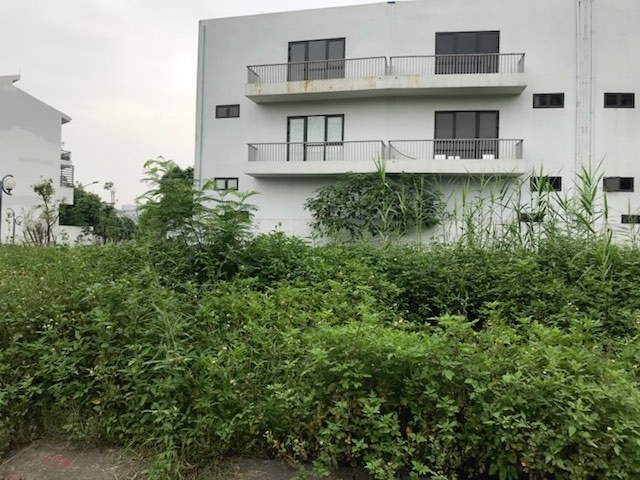 Nhiều mảnh đất bỏ hoang cây cỏ mọc lút đầu người