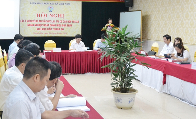 Hội thảo nhằm lấy ý kiến để hoàn thiện Đề án Tổ chức lại, tái cơ cấu HTX nông nghiệp hoạt động hiệu quả thấp