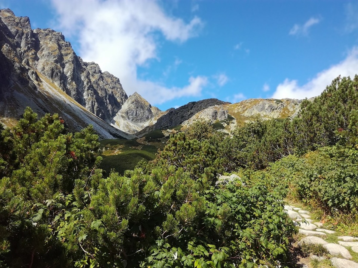 1. Dãy núi cao Tatras (Slovakia) Dãy núi cao Tatra nằm dọc biên giới phía bắc Slovakia. Những du khách may mắn nhất có thể phát hiện ra gấu nâu, một loài đã biến mất khỏi hầu hết các nước châu Âu. Andrew-Art/Pixabay