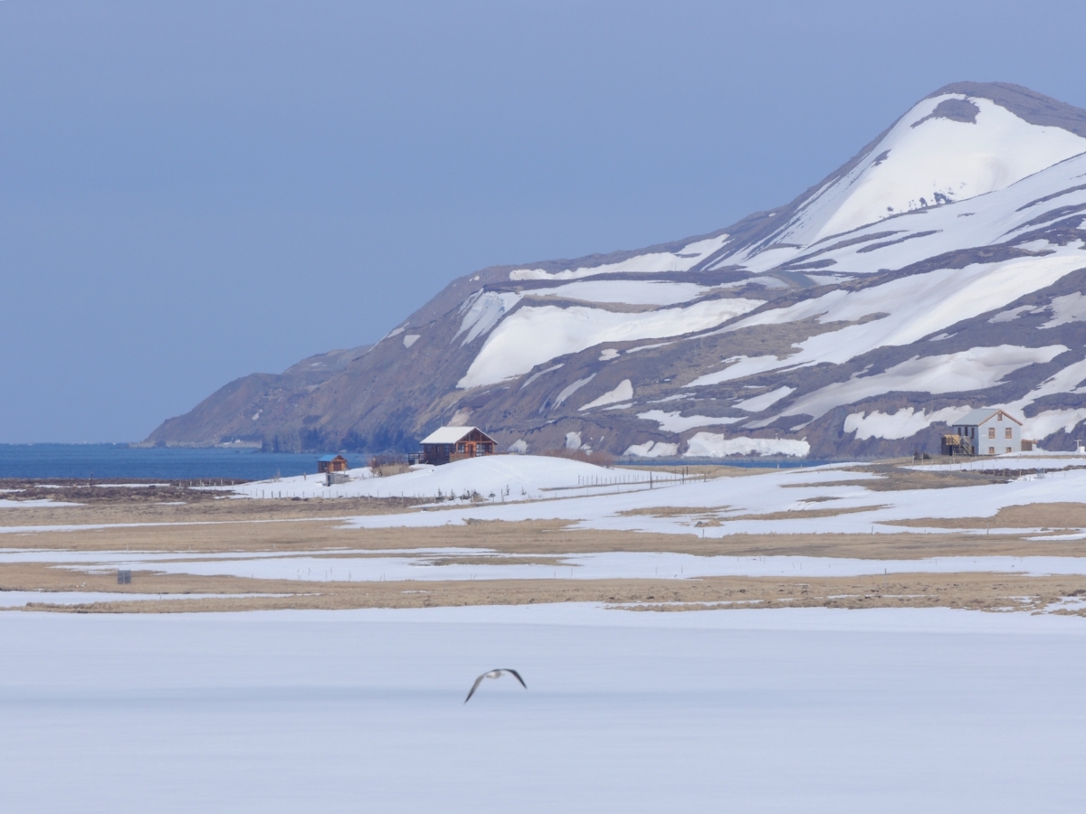 3. Bờ biển Bắc cực (Iceland) Rất ít khách du lịch mạo hiểm đến phía bắc của Iceland ... Bờ biển Bắc Cực mang đến những cảnh quan ngoạn mục như thác nước, sông băng khổng lồ và miệng núi lửa. Wikimedia Commons