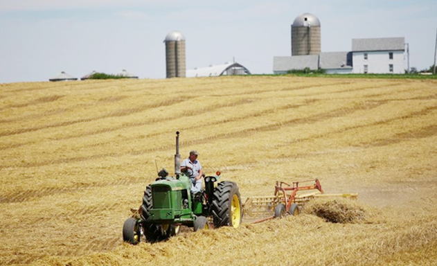 Mỹ công bố gói hỗ trợ thứ hai cho nông dân trị giá 16 tỷ USD