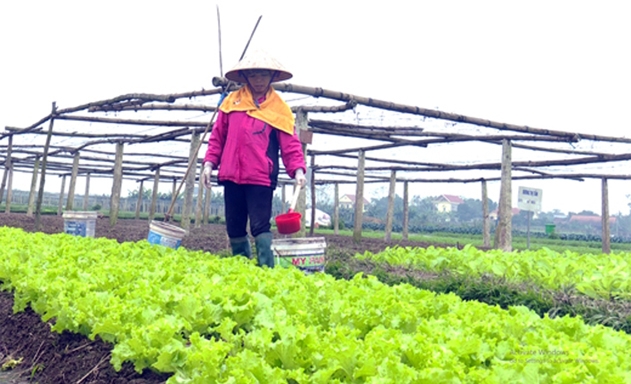 HTX không chỉ mang lại giá trị gia tăng cho nông sản mà còn góp phần nâng cao chất lượng môi trường