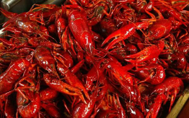 Hải quan xác nhận chỉ có tôm hùm đông lạnh được nhập vào Việt Nam (Ảnh Internet)