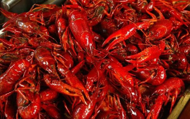 Hải quan xác nhận chỉ có tôm hùm đông lạnh được nhập vào Việt Nam (Ảnh Internet)