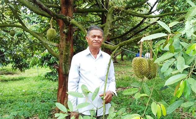 Giám đốc Nguyễn Ngọc Hùng bên vườn sầu riêng giống mới