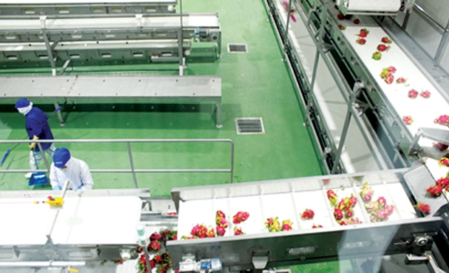 Công nghiệp chế biến giúp tăng giá trị nông sản