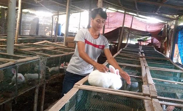 Trại nuôi thỏ của Phạm Văn Thưởng