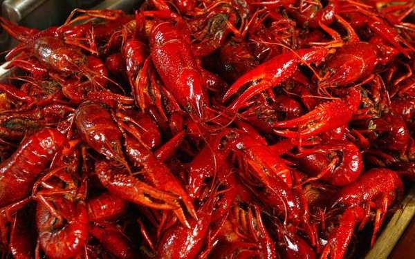 Phó Thủ tướng yêu cầu kiểm tra phản ánh tôm hùm đất được bán tràn lan với số lượng lớn (Ảnh: Internet)