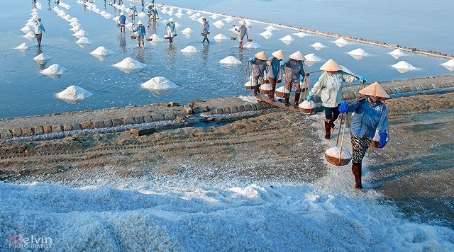 Bức tranh thu hoạch muối đặc trưng (ảnh Internet)