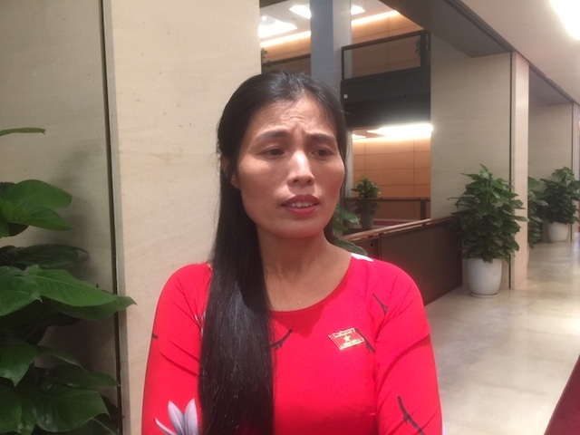 Đại biểu Quốc hội Hồ Thị Minh