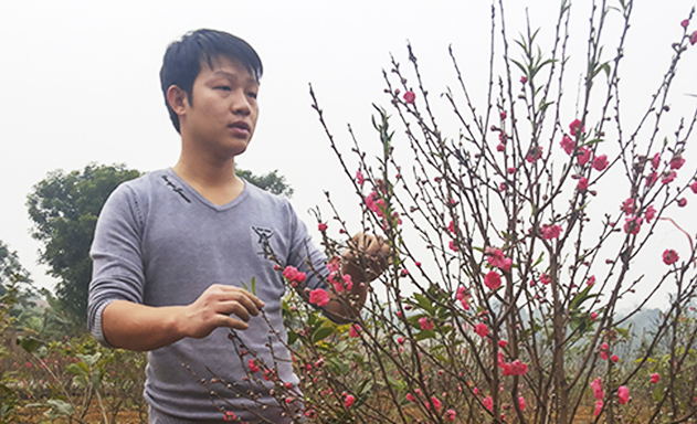 ​Anh Bùi Phú Nam - Giám đốc HTX Thanh Đình