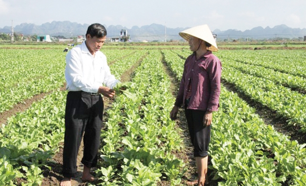 HTX đã ký được hàng loạt hợp đồng liên kết sản xuất và bao tiêu sản phẩm