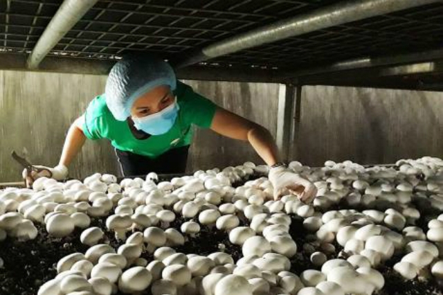 HTX dự kiến năm 2020 sẽ mở rộng quy mô lên gấp đôi