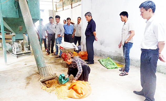 Mô hình sản xuất thức ăn chăn nuôi từ thủy sản của HTX đang cho hiệu quả tích cực