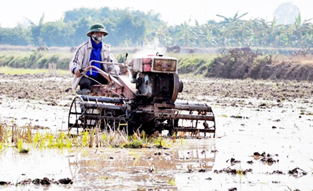 Dịch vụ thủy nông của HTX đang đem lại lợi ích cho hàng trăm nông dân trên địa bàn