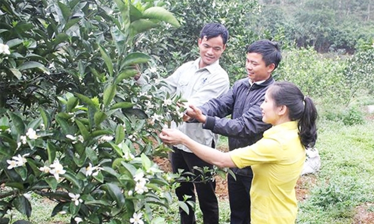 Cầm bằng đại học khởi nghiệp với HTX