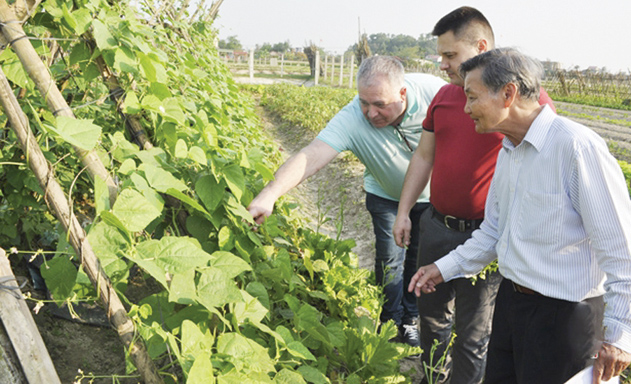 Nông sản của HTX đáp ứng tiêu xuất khẩu sang châu Âu và Liên bang Nga