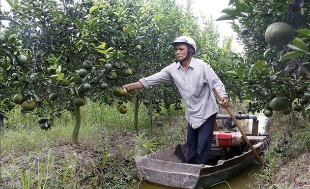 ​HTX phấn đấu đạt tiêu chuẩn EU Organic vào năm 2022