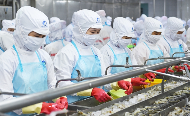 Công nghiệp chế biến tôm tốt nhất thế giới nhưng vẫn bán giá rẻ