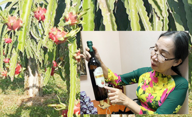 Giám đốc Lê Nguyện giới thiệu sản phẩm rượu vang thanh long của HTX