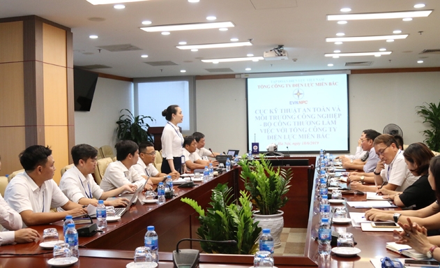 Cục Kỹ thuật an toàn và Môi trường công nghiệp (Bộ Công Thương) làm việc với EVNNPC