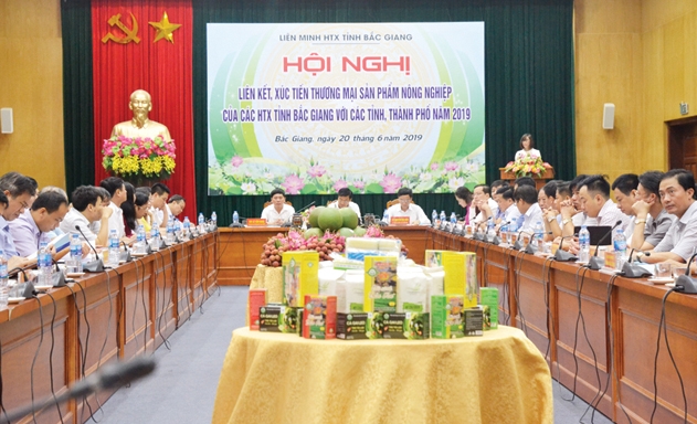 Hội nghị XTTM là hết sức thiết thực đối với các HTX