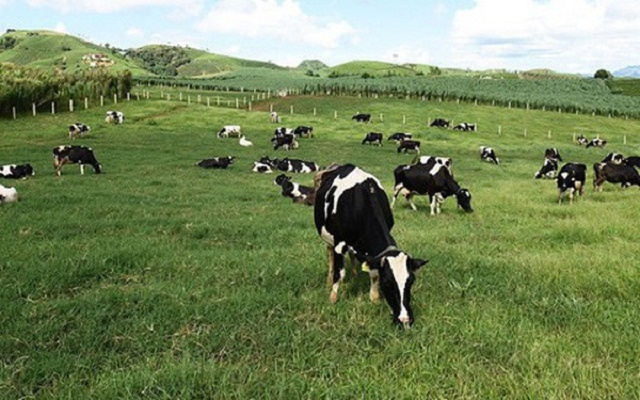 Giao dịch thỏa thuận với giá bình quân 19.900 đồng/cp