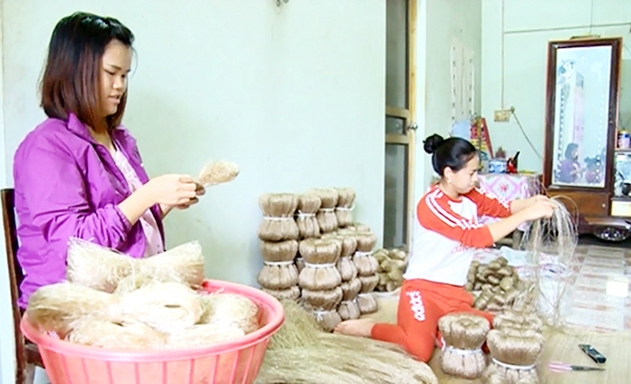 HTX đang tạo việc làm cho gần 20 lao động