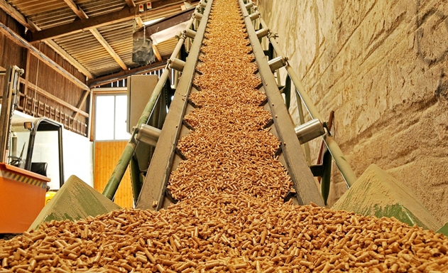 Đề xuất tăng thuế XK dăm gỗ ở mức 2% hiện tại lên 5%