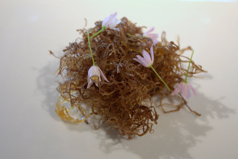 7. Nhà hàng Mugaritz (San Sebastian, Tây Ban Nha)
