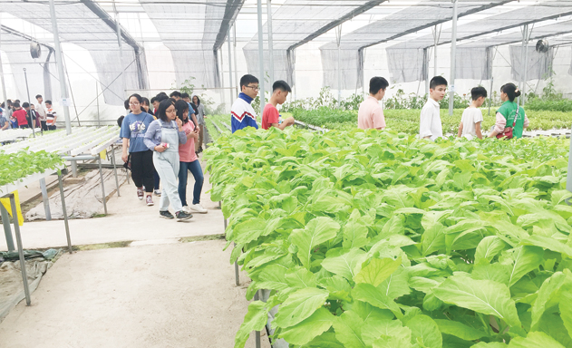 Học sinh trường THCS Ngô Quyền tham quan mô hình vườn rau thủy canh của HTX