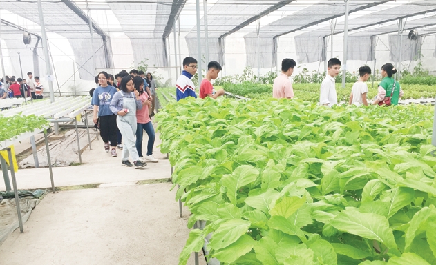 Học sinh trường THCS Ngô Quyền tham quan mô hình vườn rau thủy canh của HTX