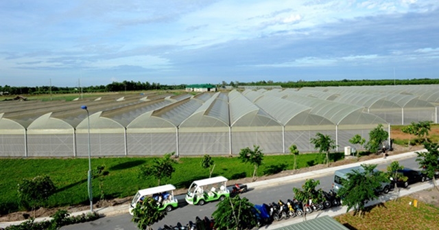 Hải Dương: đầu tư hơn 28 tỷ đồng xây dựng hạ tầng các dự án nông nghiệp (Ảnh Internet)