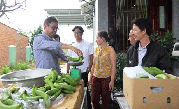 Chuối Laba có hình dáng đẹp, thịt chuối màu vàng sánh, dẻo và có hương thơm đặc trưng