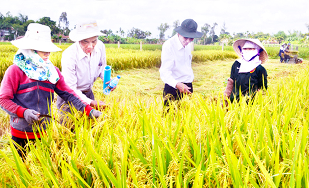 HTX thường xuyên tổ chức tập huấn về sản xuất an toàn cho thành viên, hộ liên kết